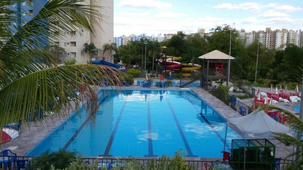Golden Dolphin Grand